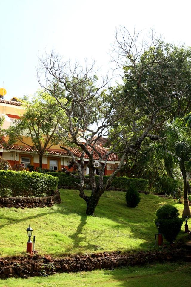 Nirvana Hermitage Anjuna Zewnętrze zdjęcie